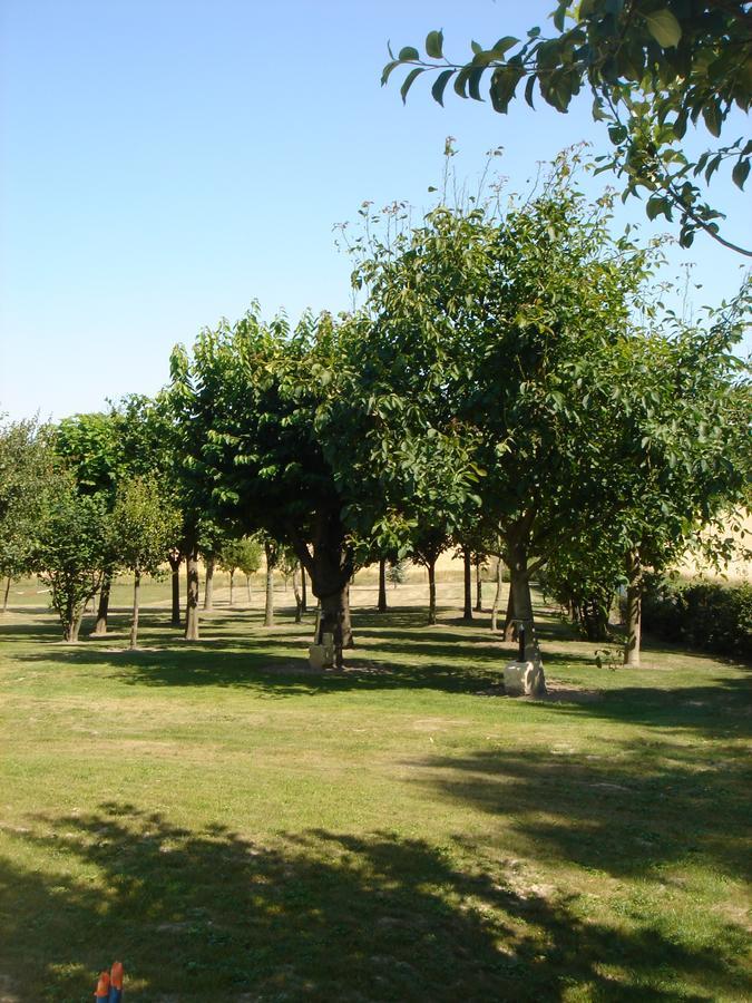 Manoir De La Rousselliere Aparthotel Loches Kültér fotó