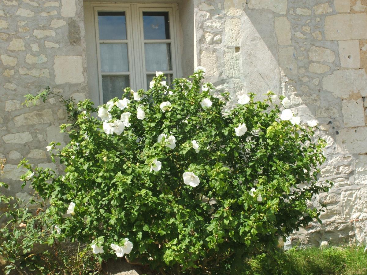 Manoir De La Rousselliere Aparthotel Loches Kültér fotó